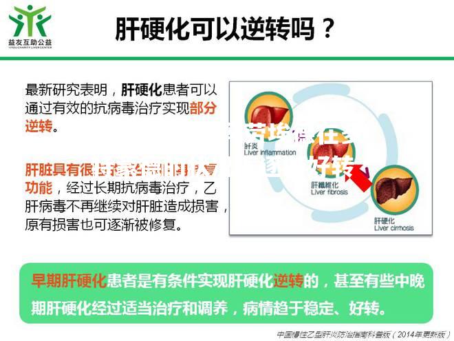 卡冯劳埃德在多特蒙德的状况下逐渐好转