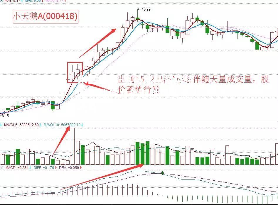 黑马球队蓄势待发，战将力争取胜风头无人能及