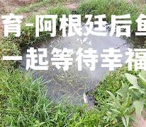 阿根廷后鱼塘门罗家族一起等待幸福的回归