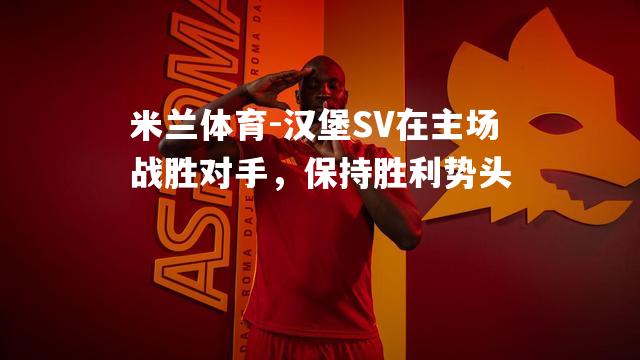 汉堡SV在主场战胜对手，保持胜利势头